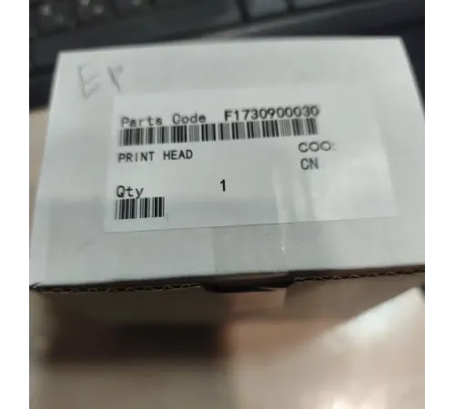 F173090/F173080/F173000 Печатающая головка Epson Stylus Photo R270/R390 О) в Екатеринбурге.